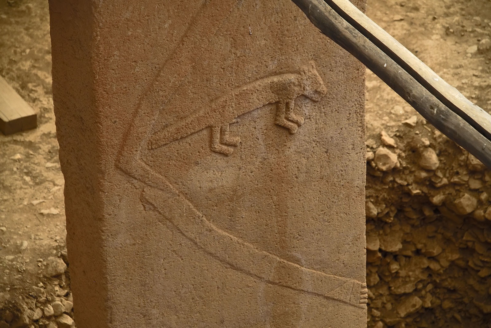 A carved arm beside a fox relief on a pillar in Building D at Göbekli Tepe, photographed in 2019. Human and animal features occur together; the photograph does not establish a divine identity