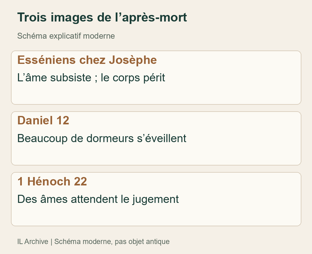 Comparaison moderne de témoins différents, pas carte archéologique de l’au-delà ni trois croyances identiques. Daniel dit « beaucoup » ; le récit de Josèphe diffère de la résurrection corporelle