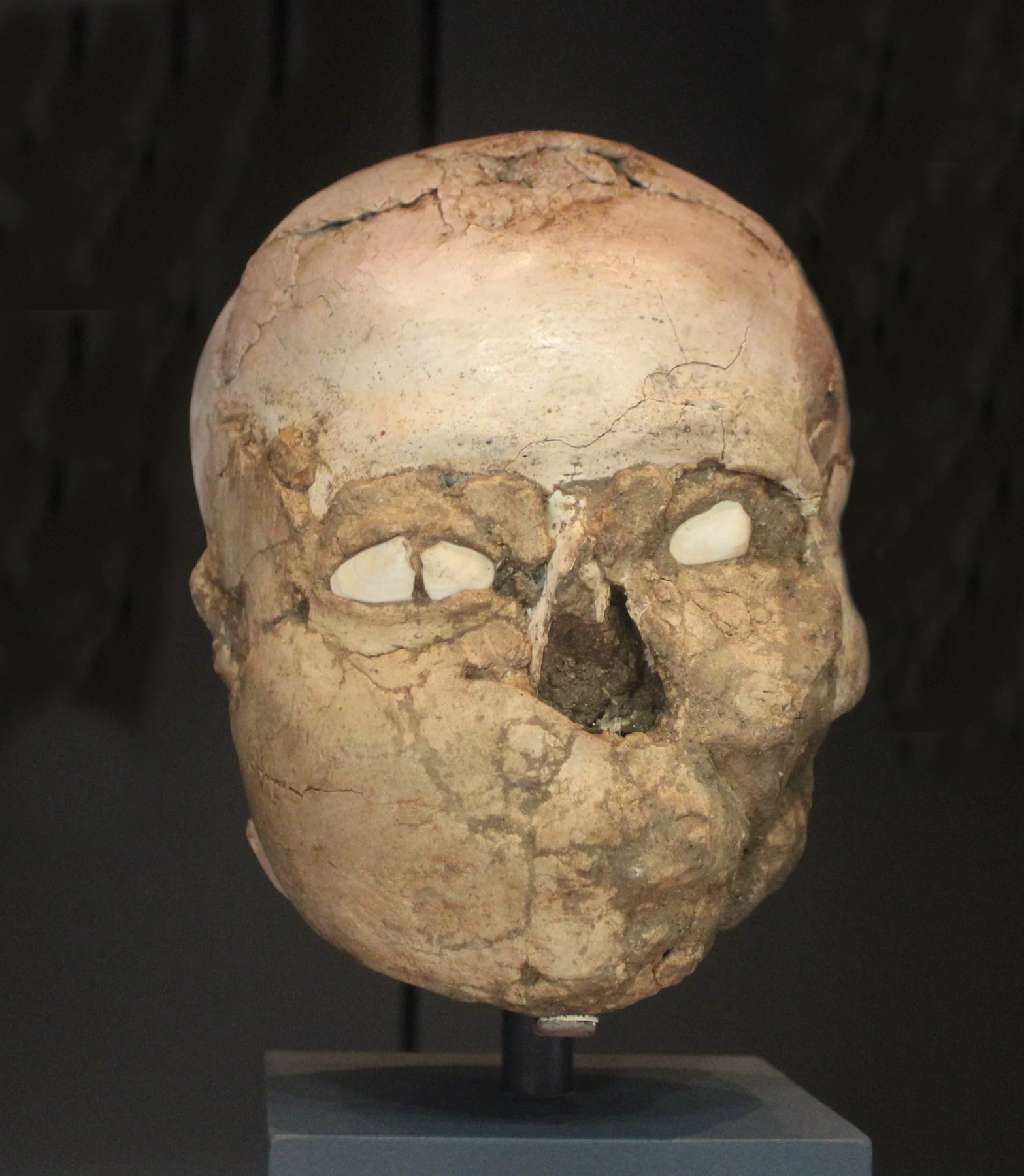 Jericho’s Plastered Skulls: Faces of the Dead and the Limits of Ancestor Interpretation
