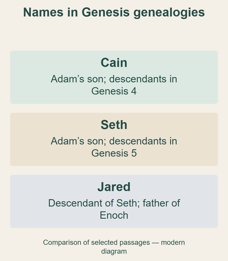 Modern chart distinguishing the Cain and Seth branches in Genesis and Jared’s position; textual relationships, not a reconstructed historical genealogy