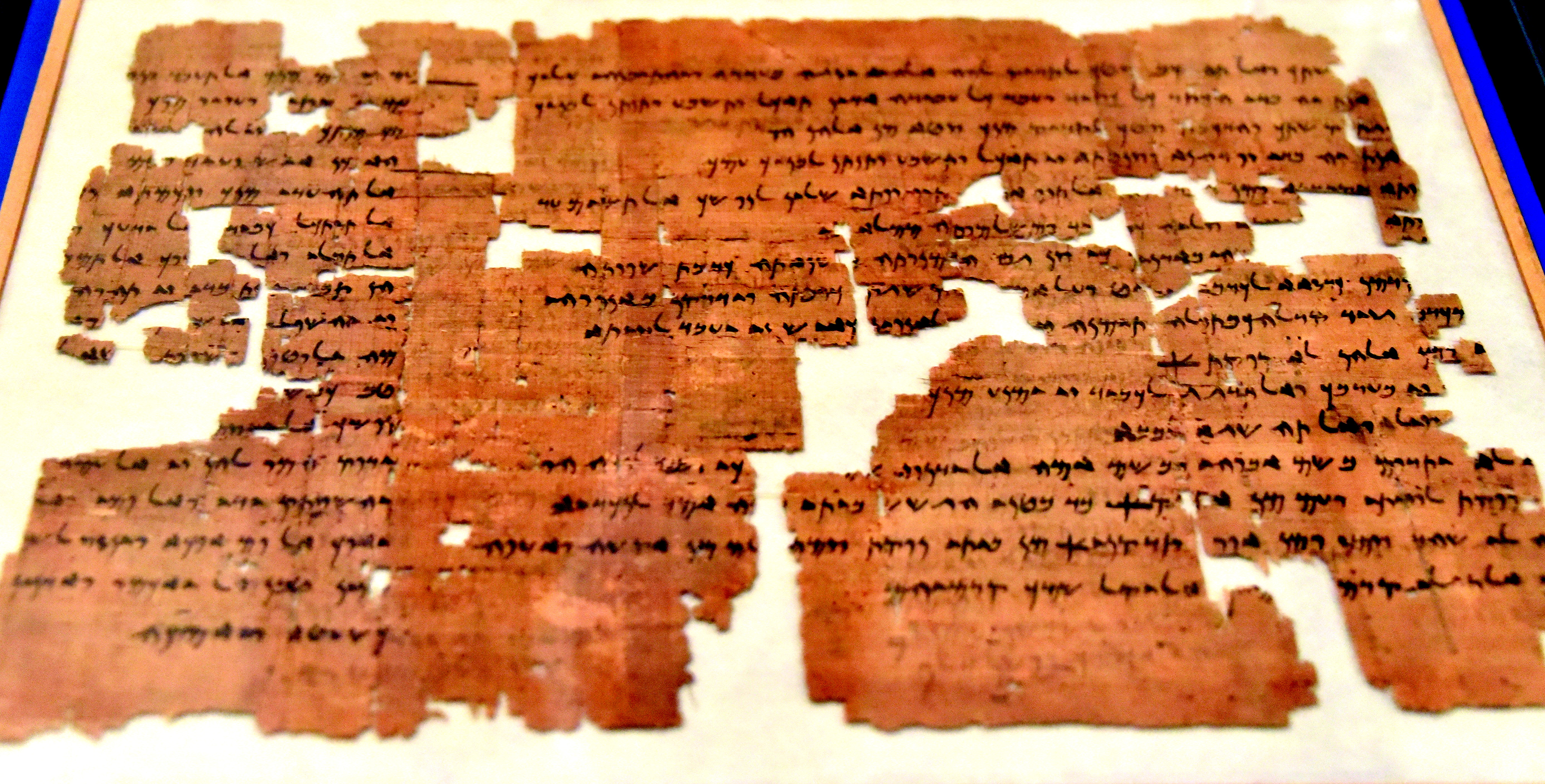 Aramaic Ahiqar papyrus from Elephantine, fifth century BCE; Berlin P.13446/G, photographed at Neues Museum in 2019. Physical witness to a work combining tale and sayings, not the complete copy or a depiction of Daniel’s events